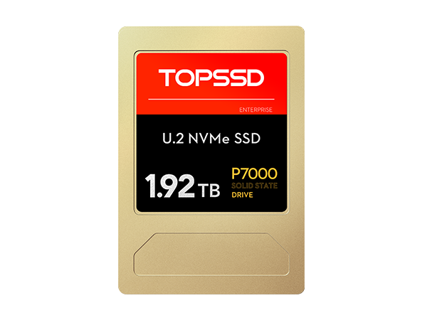 P7000 U.2 NVMe 7.68TB