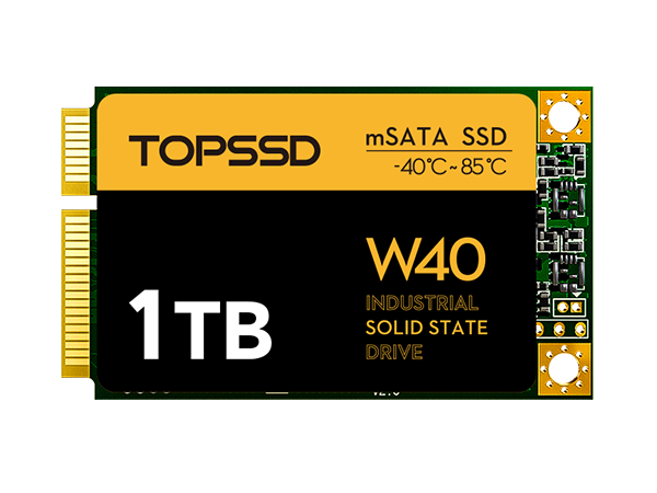 W40 mSATA 1TB