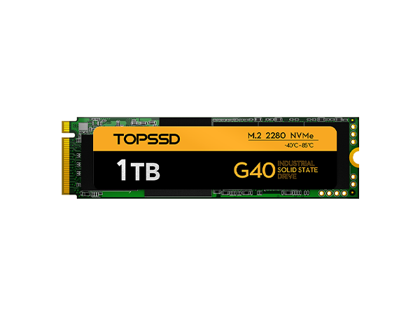 G40 M.2 2280 NVMe 1TB